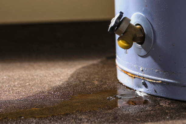 Reliable Las Lomas, CA Water damage restoration Solutions