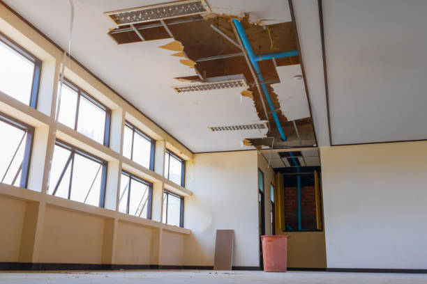 Best Commercial water damage restoration  in Las Lomas, CA