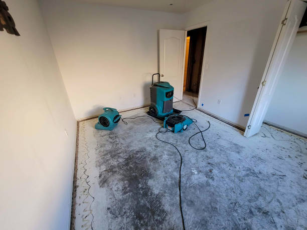 Best Ceiling water damage repair  in Las Lomas, CA