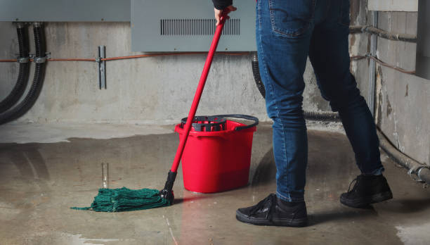 Best Residential water damage restoration  in Las Lomas, CA