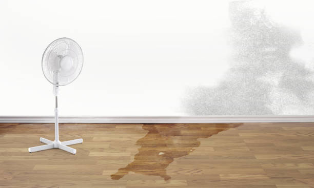 Best Flood restoration services  in Las Lomas, CA