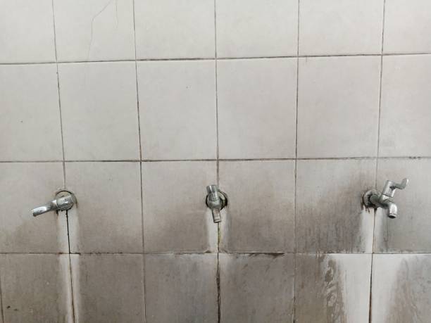 Carpet water damage restoration in Las Lomas, CA