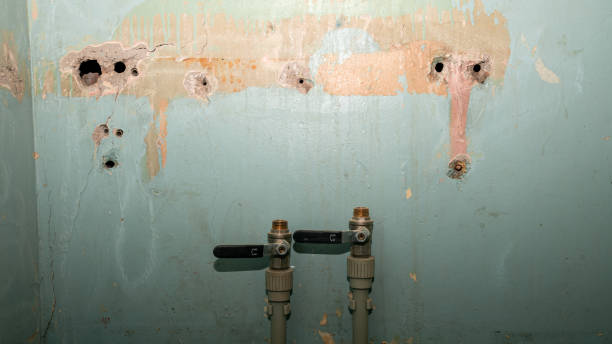 Best Water damage restoration near me  in Las Lomas, CA