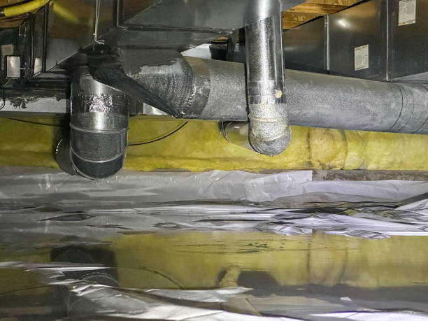 Best Basement water damage restoration  in Las Lomas, CA