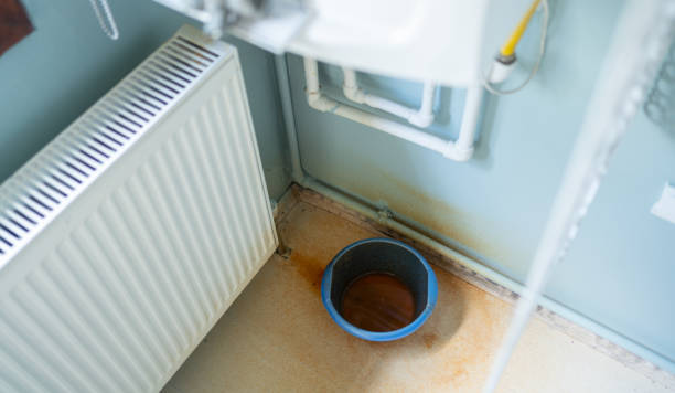 Best Flood restoration services  in Las Lomas, CA