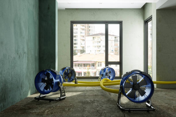 Water damage restoration insurance claims in Las Lomas, CA
