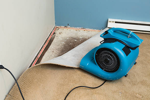 Best Water damage contractors near me  in Las Lomas, CA